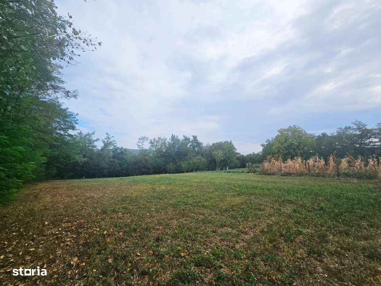 Teren intravilan, cu priveliște – Vălenii de Munte - Imagine principală: 3/19