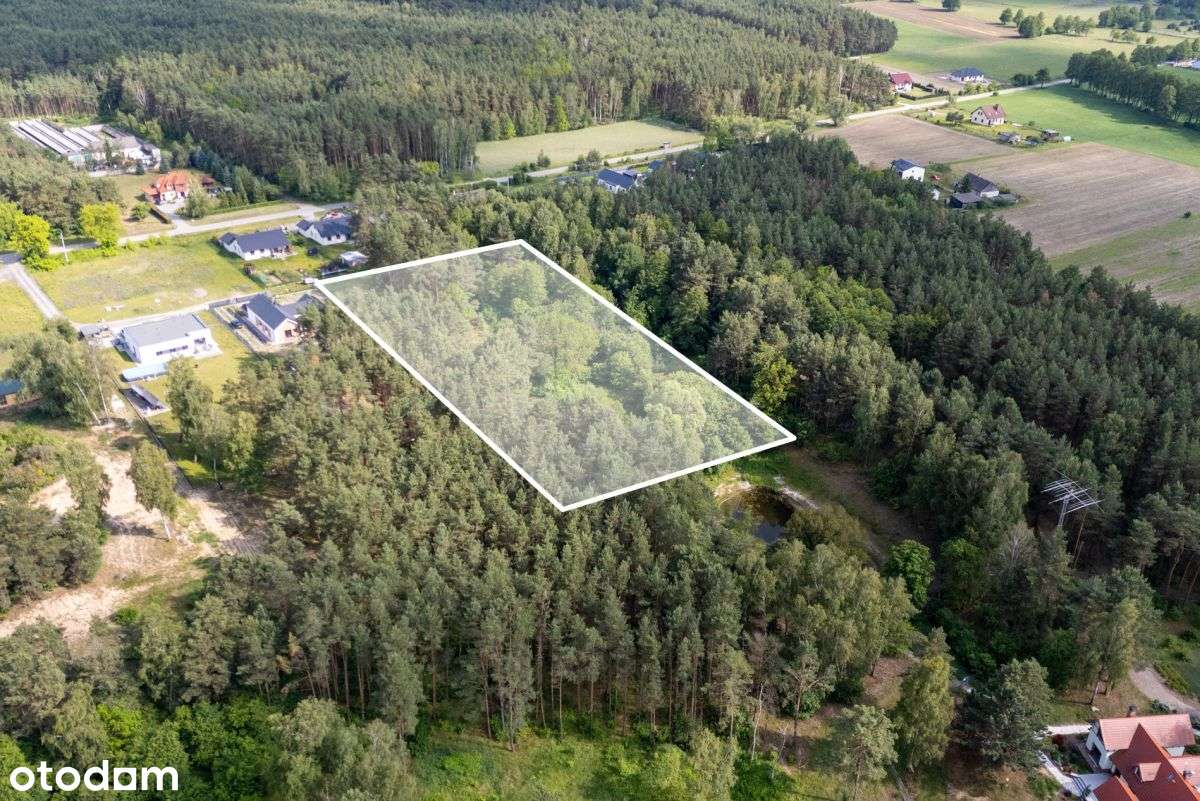 Duża działka budowlana WZ na dwa domy - Pełny obrazek: 4/9