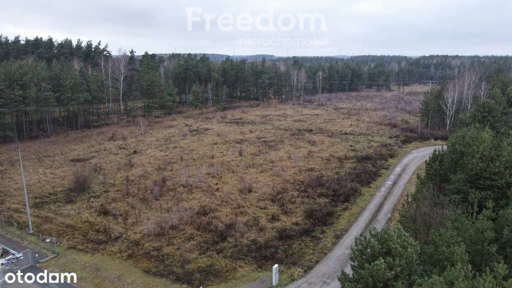 Działka przemysłowa 3Ha - pod mpzp Wola Paprotnia - Pełny obrazek: 5/5
