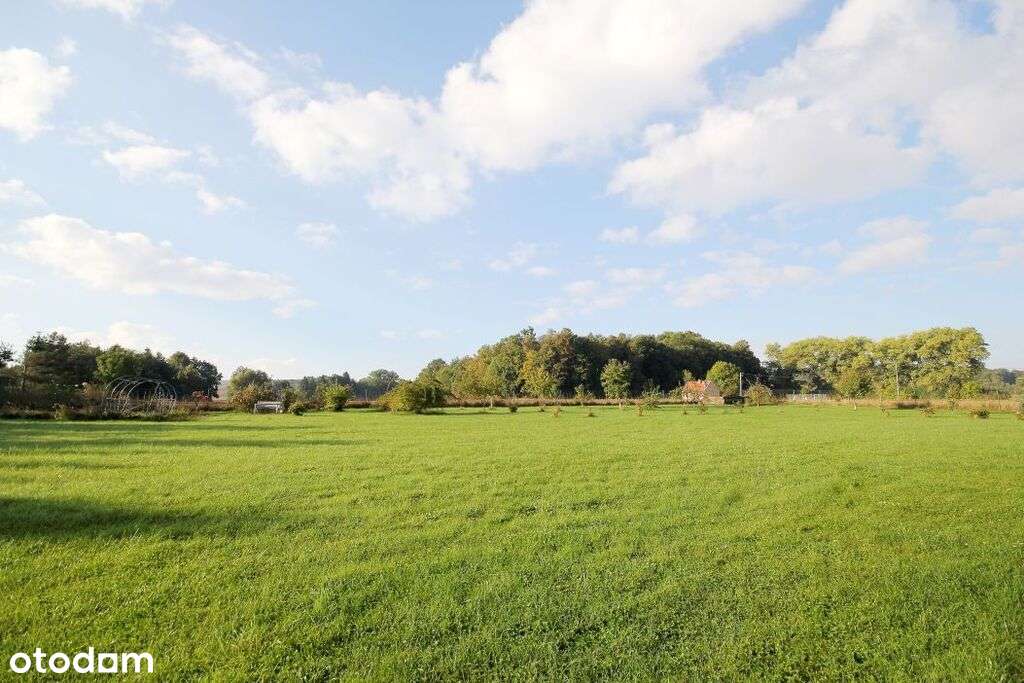 Atrakcyjny dom jednorodzinny Pogórze Kaczawskie - Pełny obrazek: 5/20