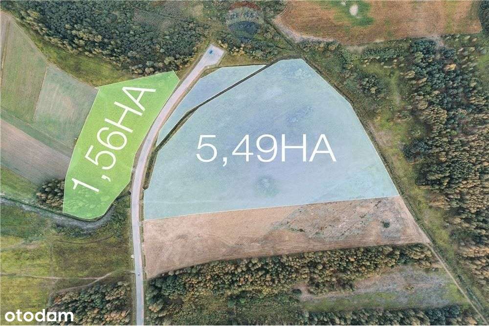 Działka komercyjna w Podborzu k. Mielca - 5,5 Ha - Pełny obrazek: 5/20