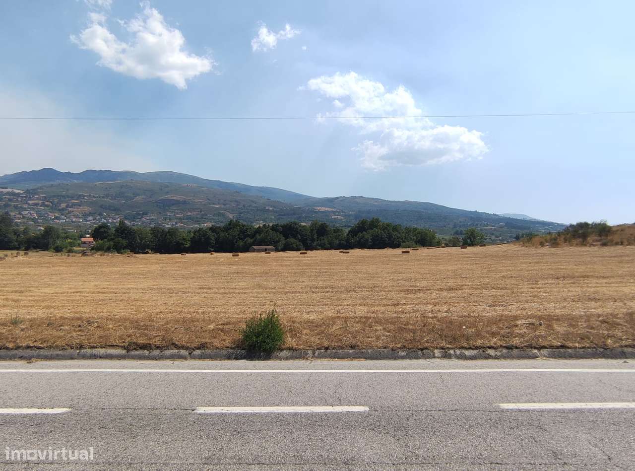 Quinta  Venda em Melo e Nabais,Gouveia - Grande imagem: 5/5