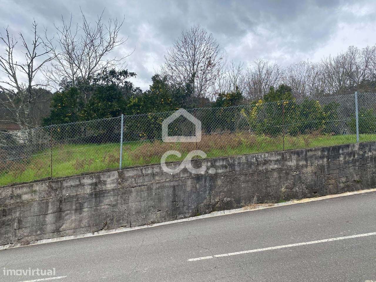 Terreno Agrícola em Gominhães-16