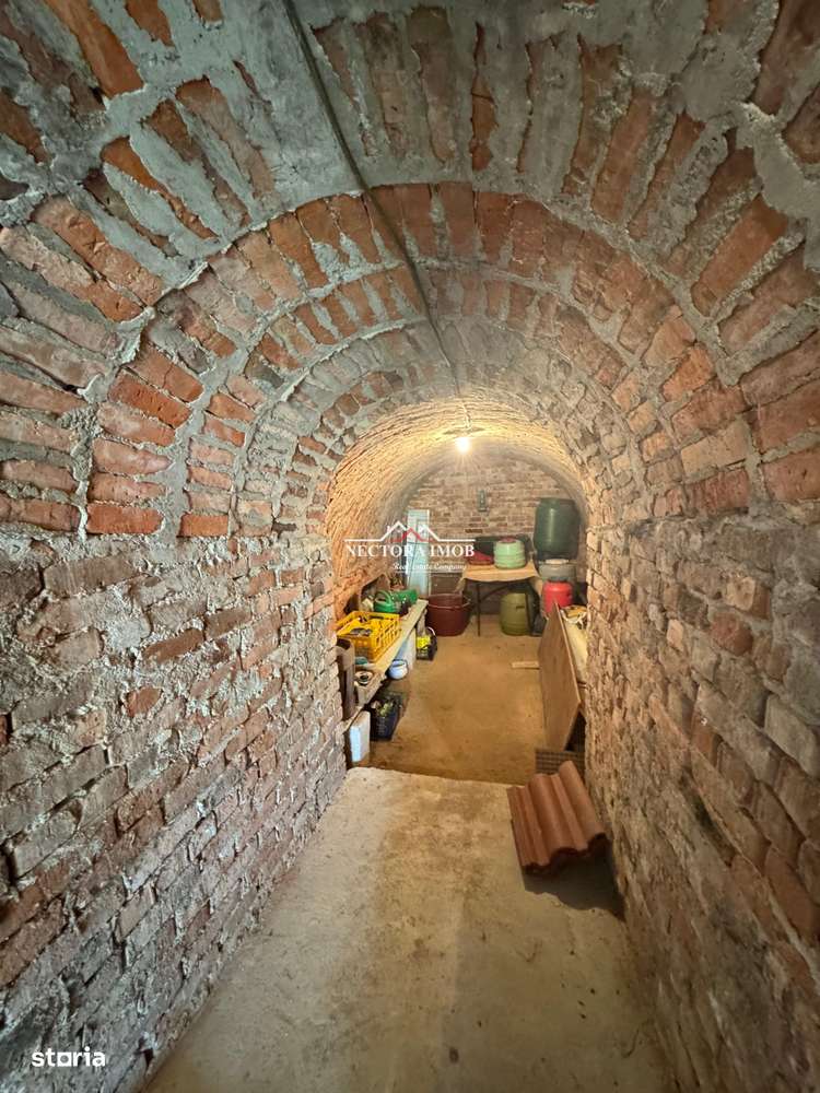 NECTORA IMOB-Casa cu etaj, mobilata, utilata, Episcopia, cu livada-2