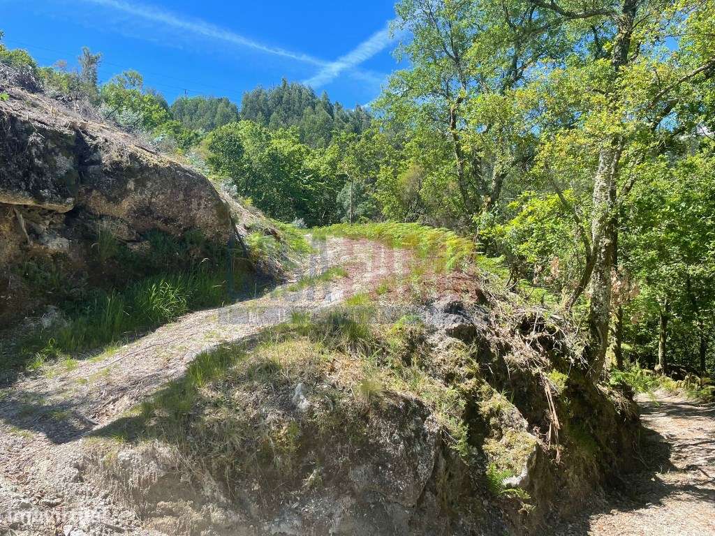 Terreno em Soengas - Caniçada (Gerês) - Grande imagem: 2/18