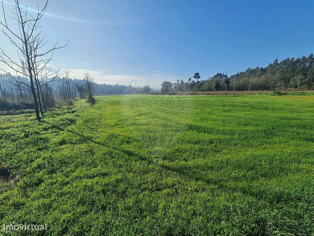 Terreno  para venda - Grande imagem: 4/6