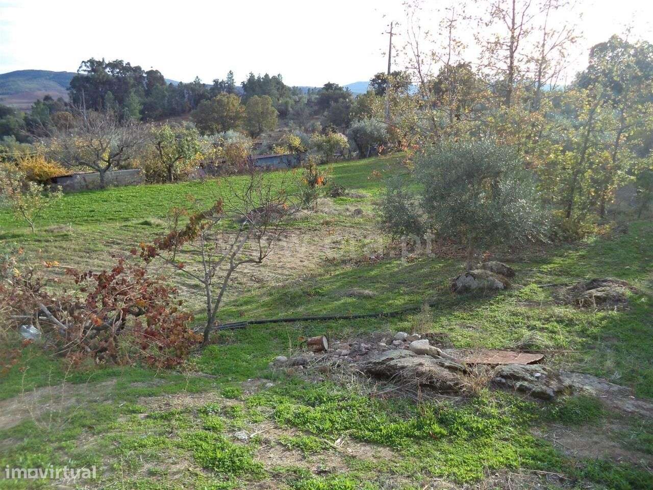Terreno / Fundão, Capinha - Grande imagem: 2/3