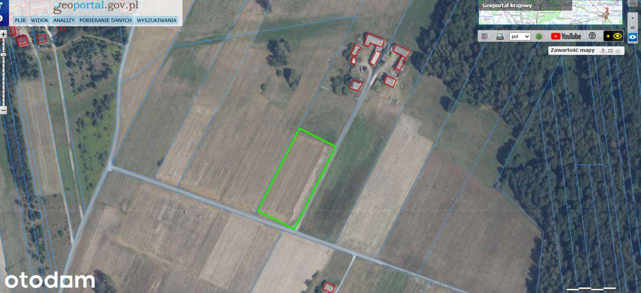 Działka 3 000 m2 w otoczeniu lasu, droga asfaltowa, 60 min od Warszawy - Pełny obrazek: 4/5