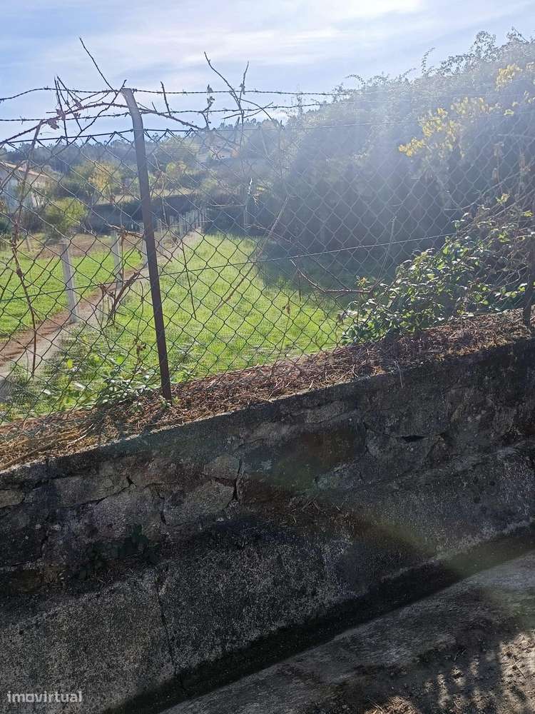 Terreno para Construção em Cervães – Excelente Oportunidade de Investi - Grande imagem: 5/11