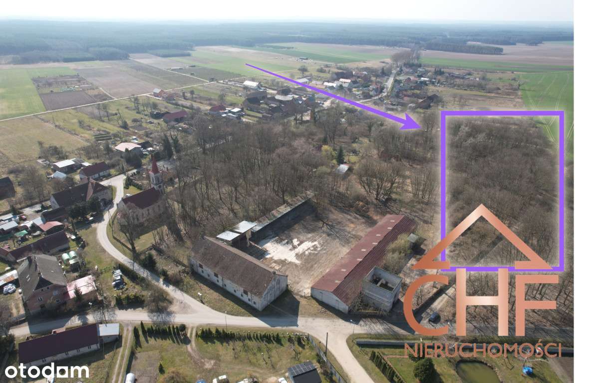 Nieruchomość gruntowa - Mozów - Pełny obrazek: 4/6