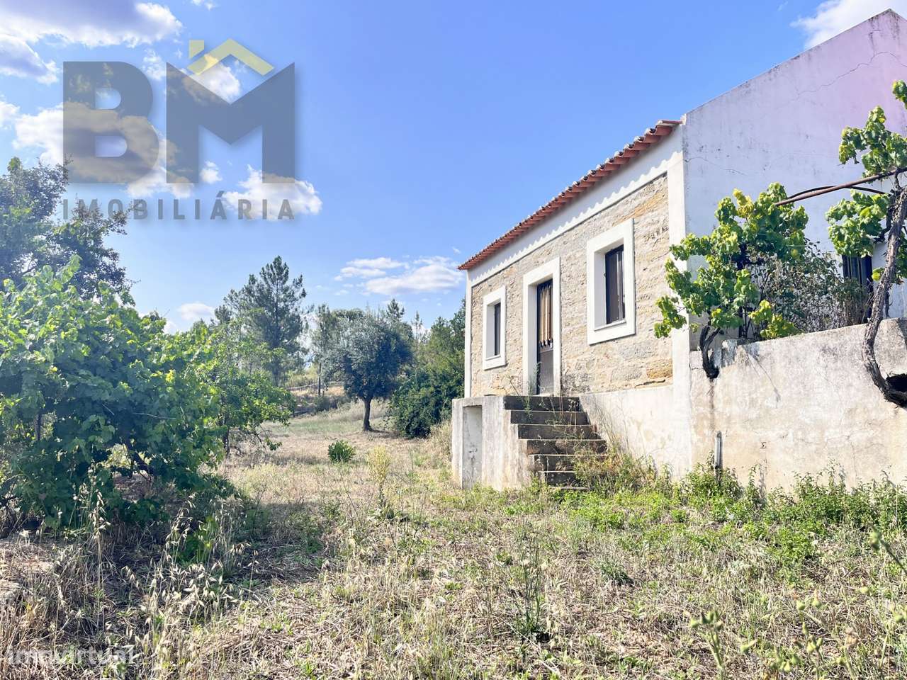 Quinta T3 Venda em Santo André das Tojeiras,Castelo Branco - Grande imagem: 3/37