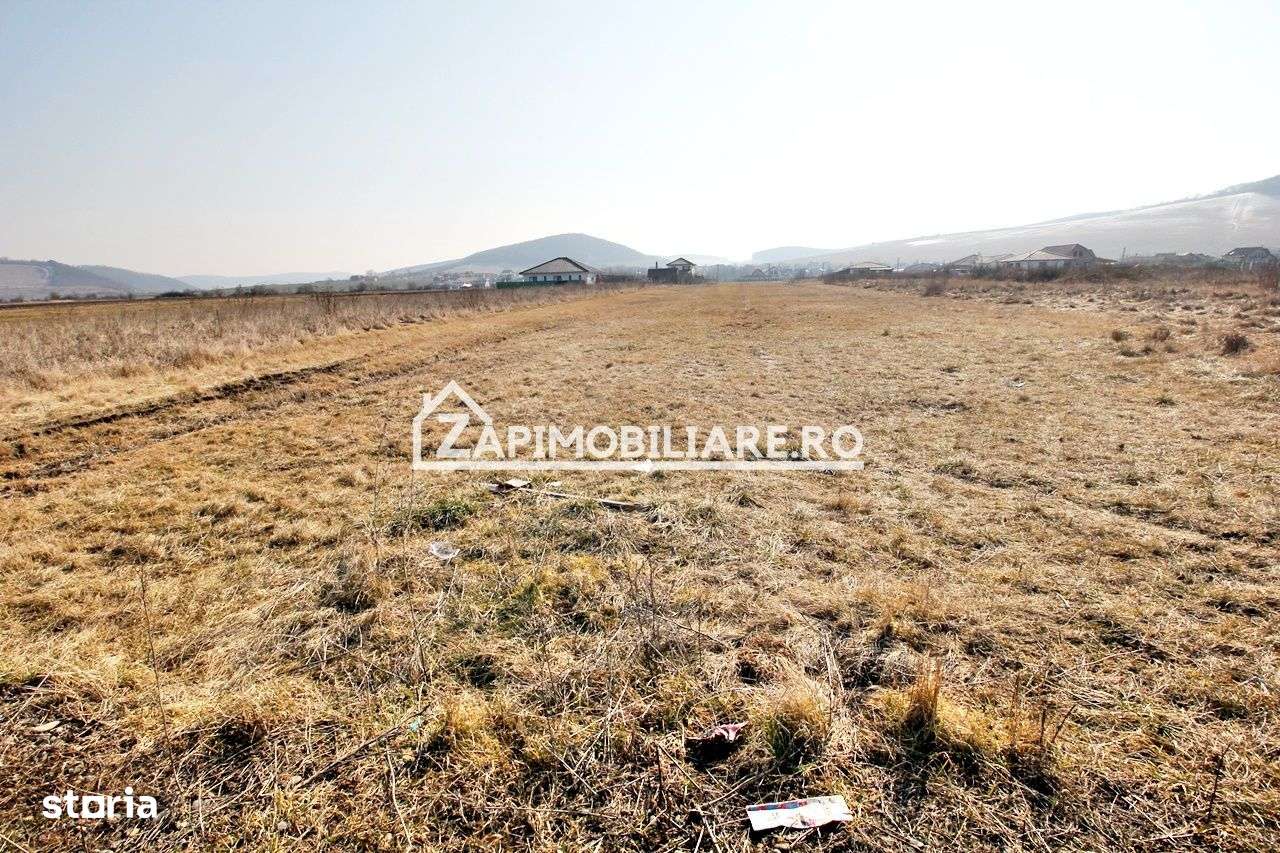 Teren  Intravilan 2.075 mp. 59.euro mp.Sangeorgiu de Mures - Imagine principală: 5/8