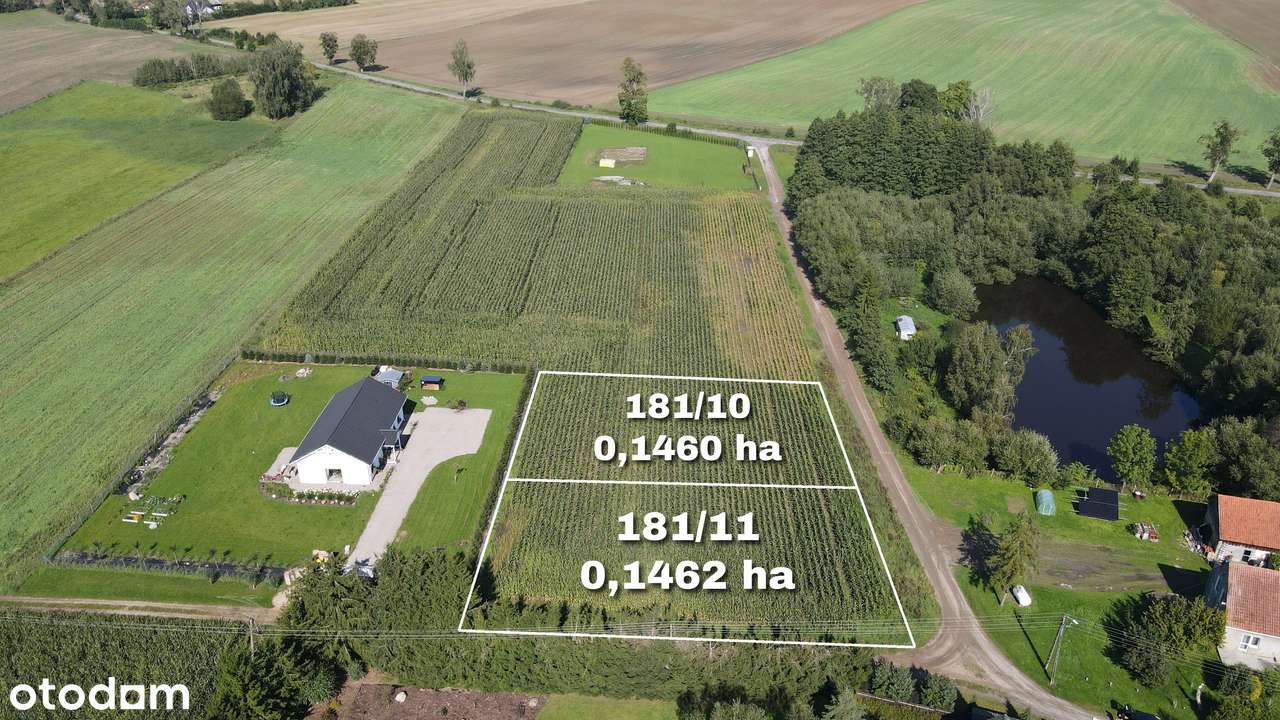 Działki budowlane Szylina / 0,15 ha / media / WZ-1