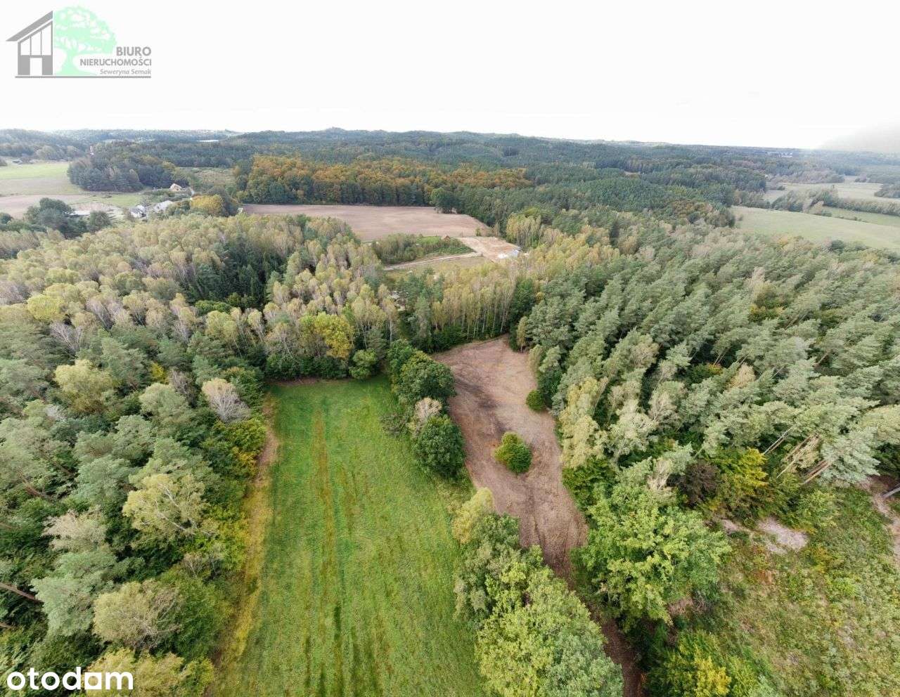 Duża działka siedliskowa 4600 m2 Strzebielino Wyb.-9