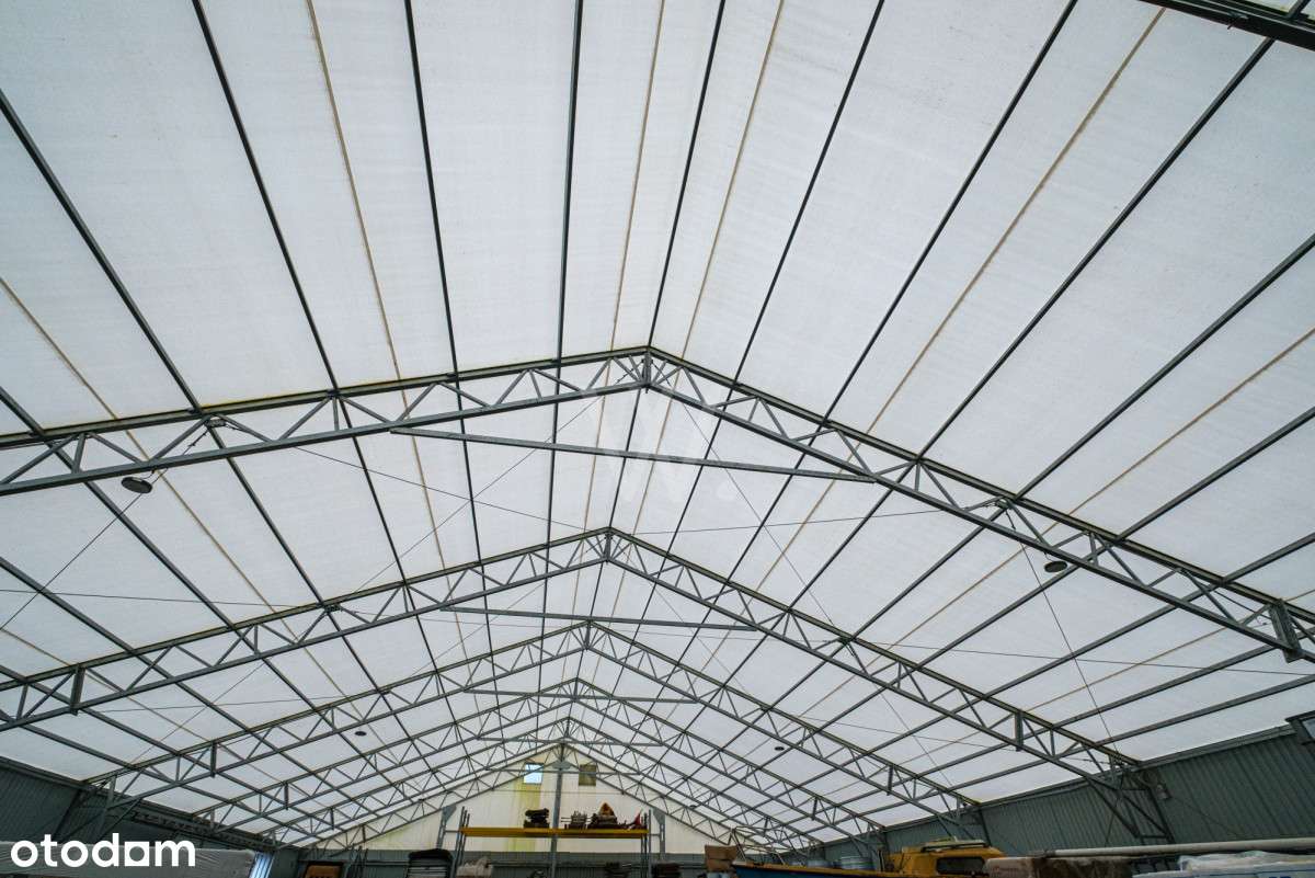 Działka z halą, utwardzona + możliwość zabudowy - Pełny obrazek: 4/4