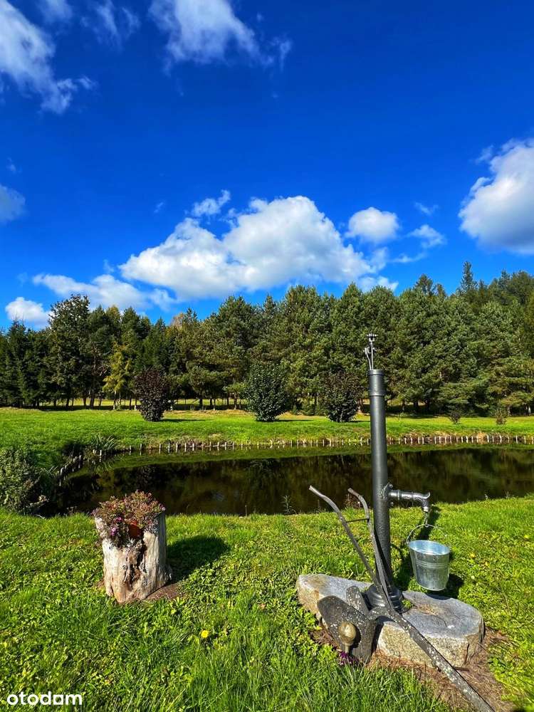 Jeziorak, posiadłość z bala, stawy, prywatny las!-4