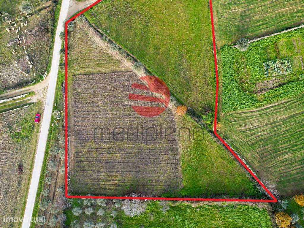 TERRENO RÚSTICO - Grande imagem: 4/6
