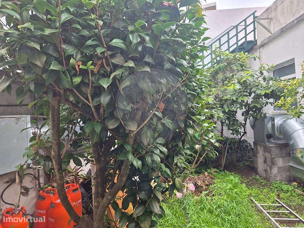 Prédio  para venda-17