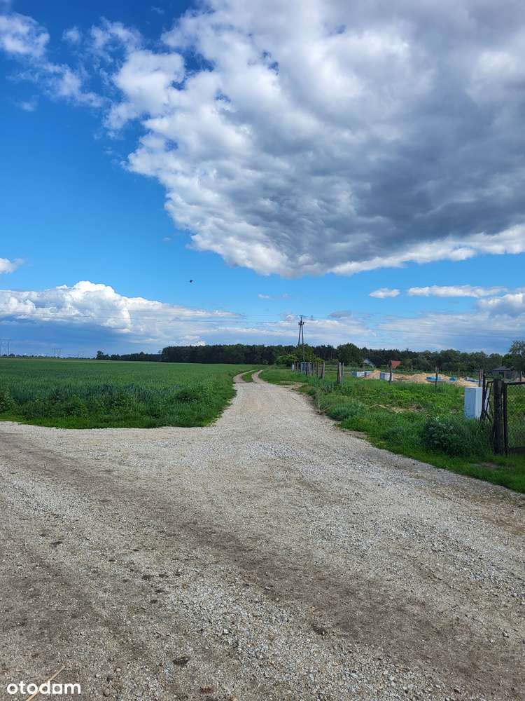 Działka budowlana Oleśnica - Smolna dolnośląskie - Pełny obrazek: 5/13