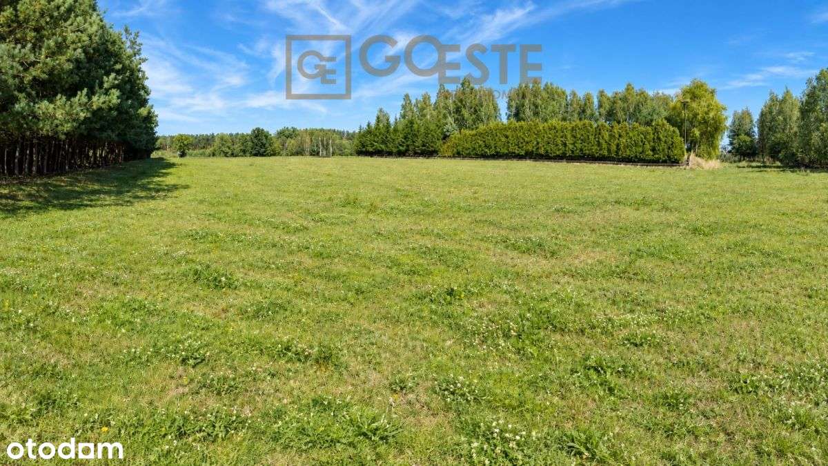 Działka budowlana 4900 m2, 20 minut od Warszawy-4