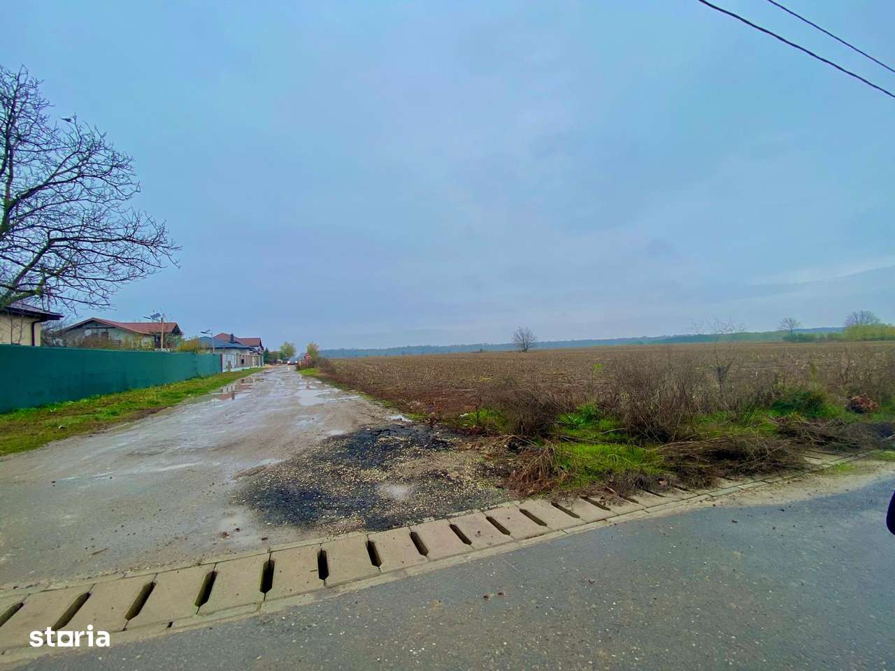 Teren intravilan Dascalu 18.500 mp – utilitati si drum asfaltat - Imagine principală: 2/4