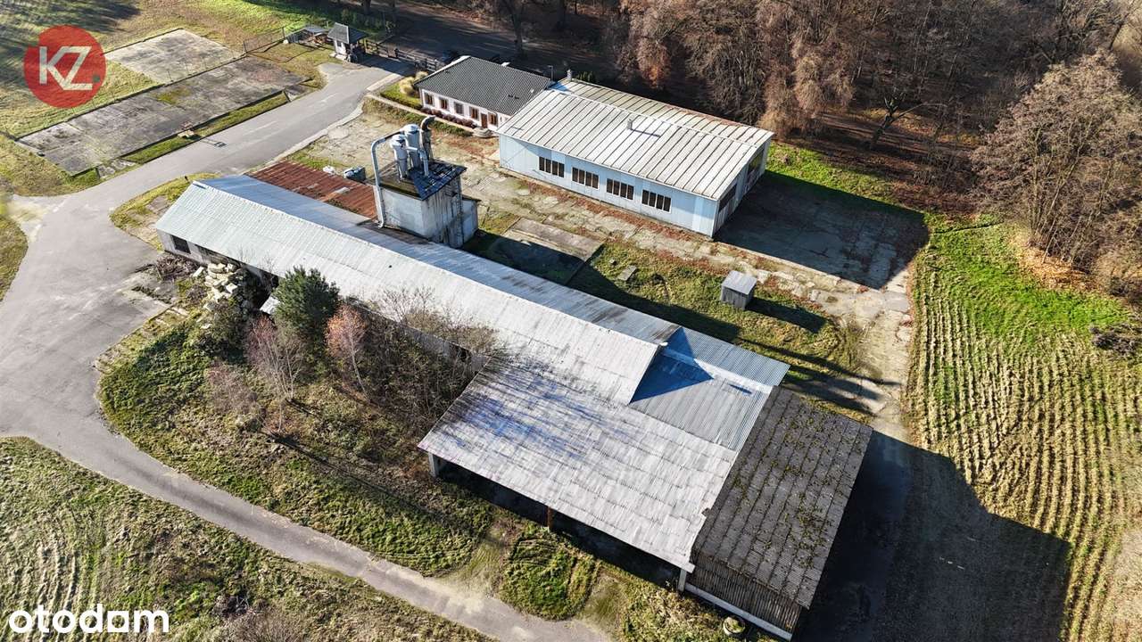 Obiekt na sprzedaż, Margonin (gw)-6