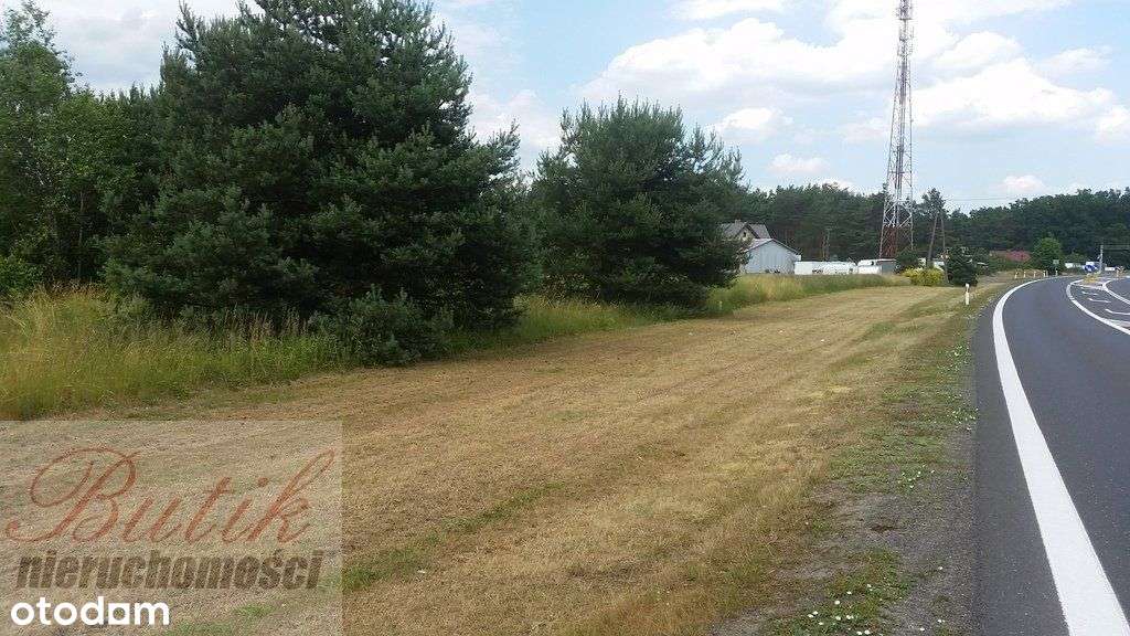 Trzciel Świdwowiec 5,4 h działka rolna ze studium-8