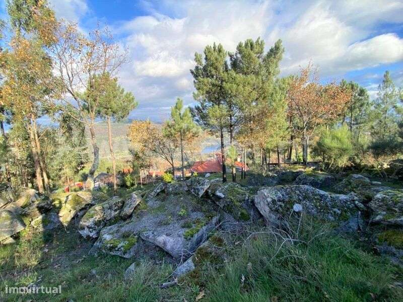 Terreno para Construção / Cinfães, São Cristóvão de Nogueira - Grande imagem: 5/8