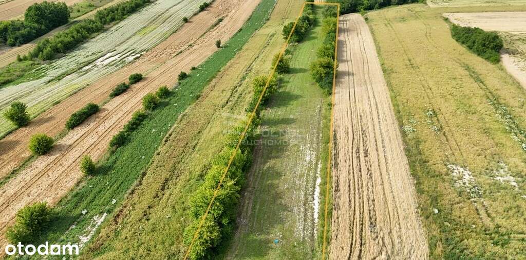 Atrakcyjna działka z pięknym widokiem-Majdan Górny - Pełny obrazek: 3/7