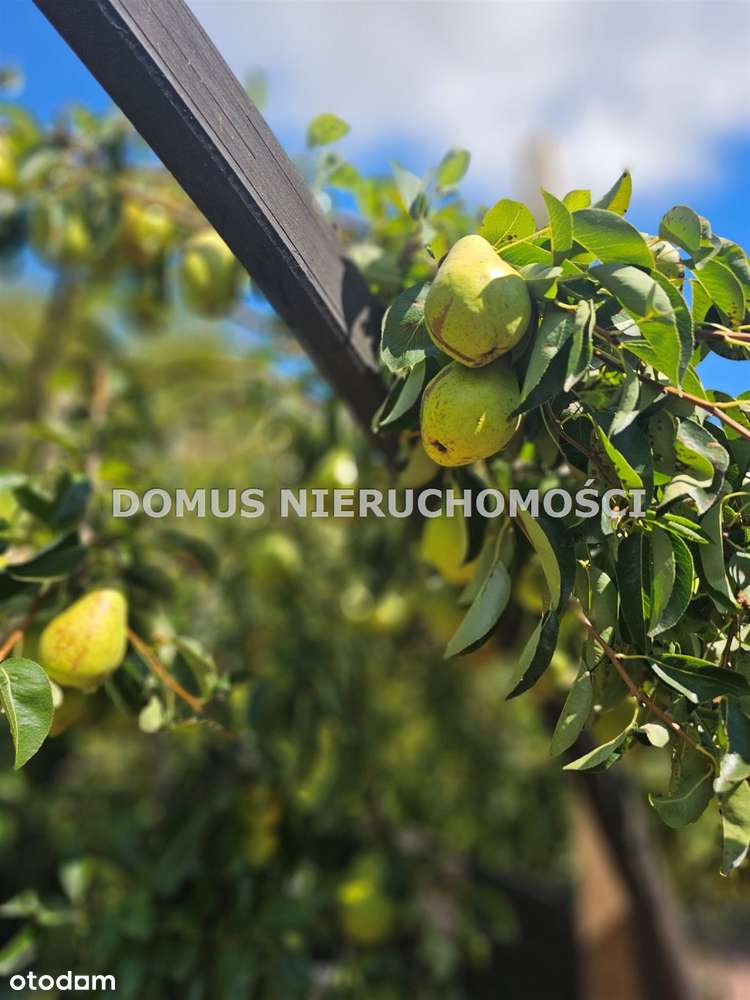 Dom z basenem okolice Koluszek-9