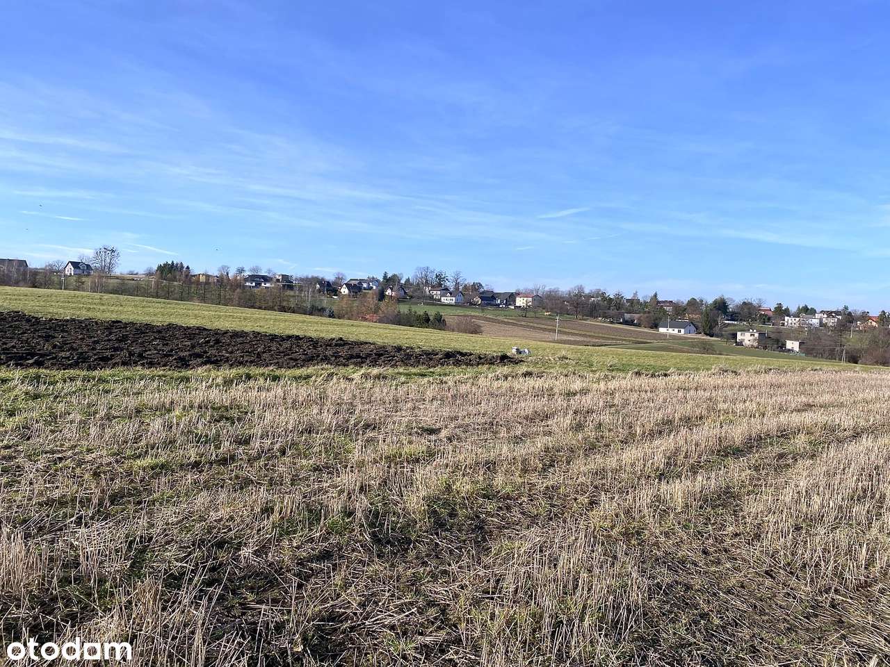 Kisielów - działka rolna 2,5 ha - Pełny obrazek: 4/19