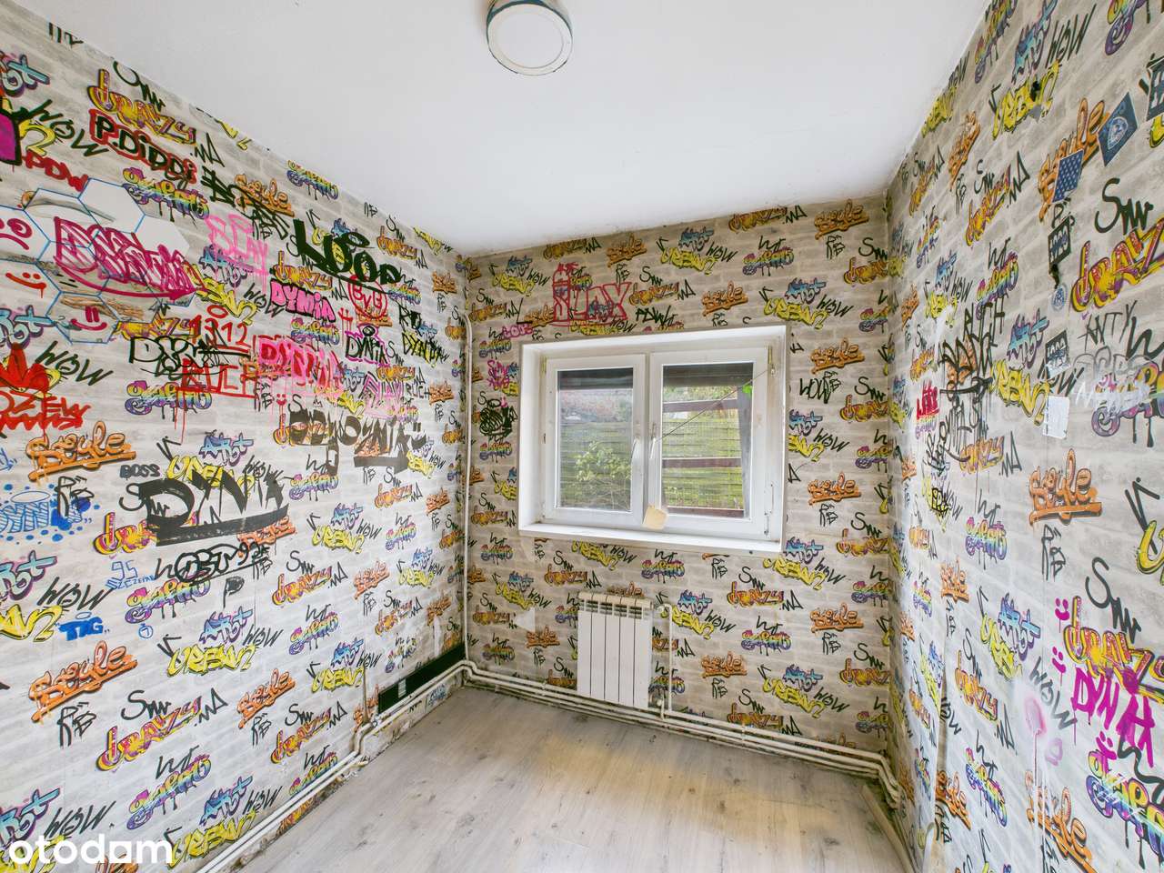 Kalina,Herby mały dom przy lesie - Pełny obrazek: 5/11