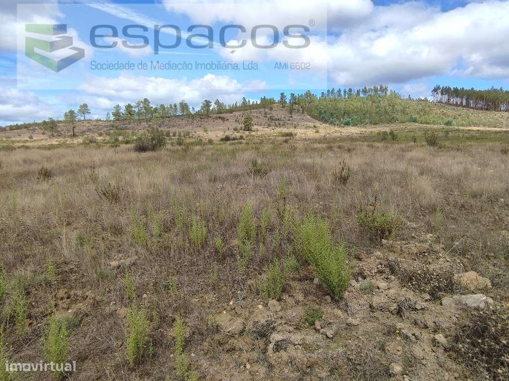 Terreno rústico - Martim Branco - Grande imagem: 5/9