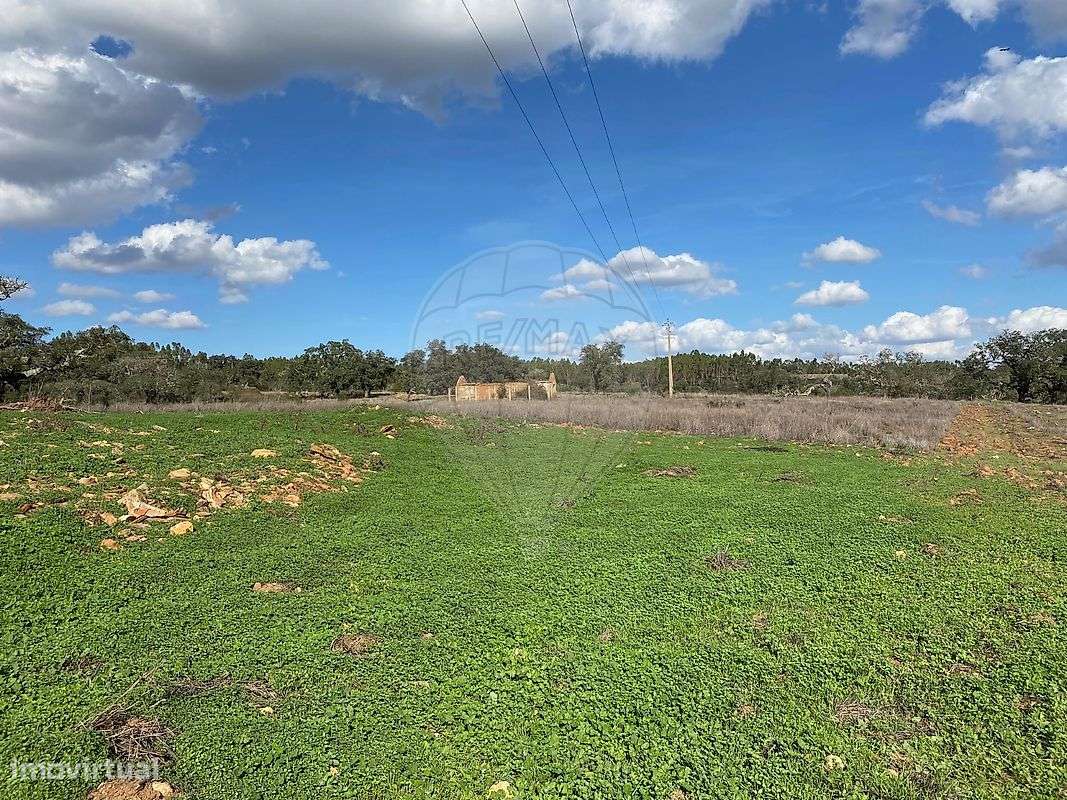 Quinta T2 para venda - Grande imagem: 5/12