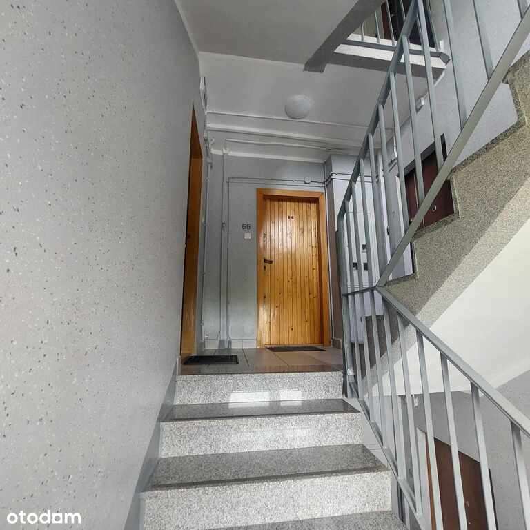 Słoneczne 2 pokojowe z 2 balkonami, blisko Pogorii-10