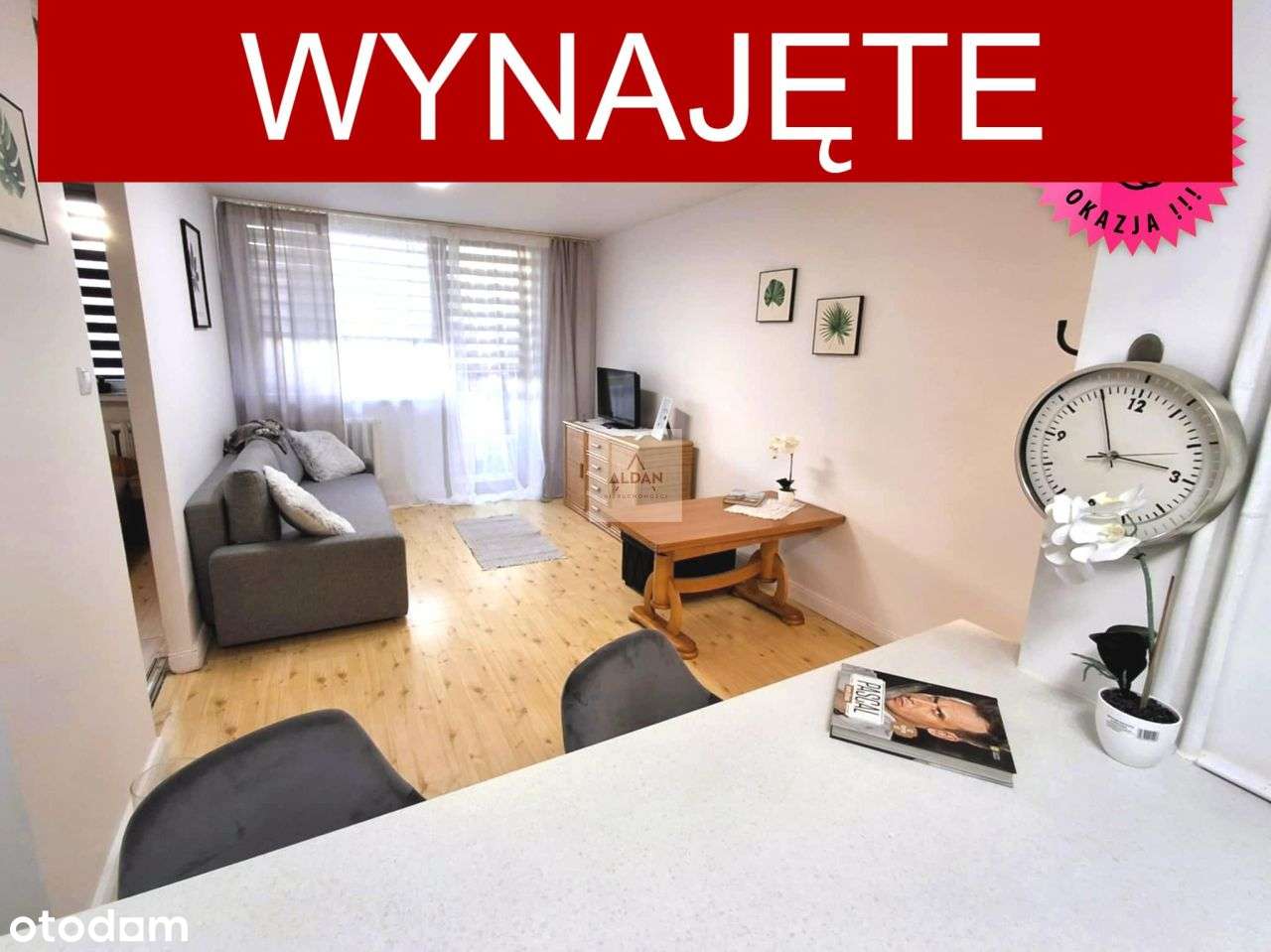 2 pok. mieszk. za wynajem w Centrum Zielonej Góry! - Pełny obrazek: 1/20