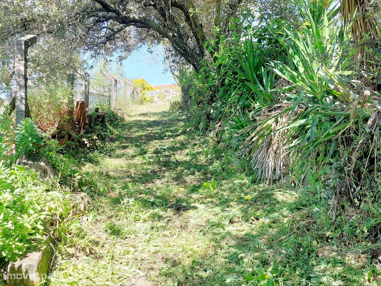 Terreno Rústico  Venda em Assentiz,Torres Novas - Grande imagem: 5/12