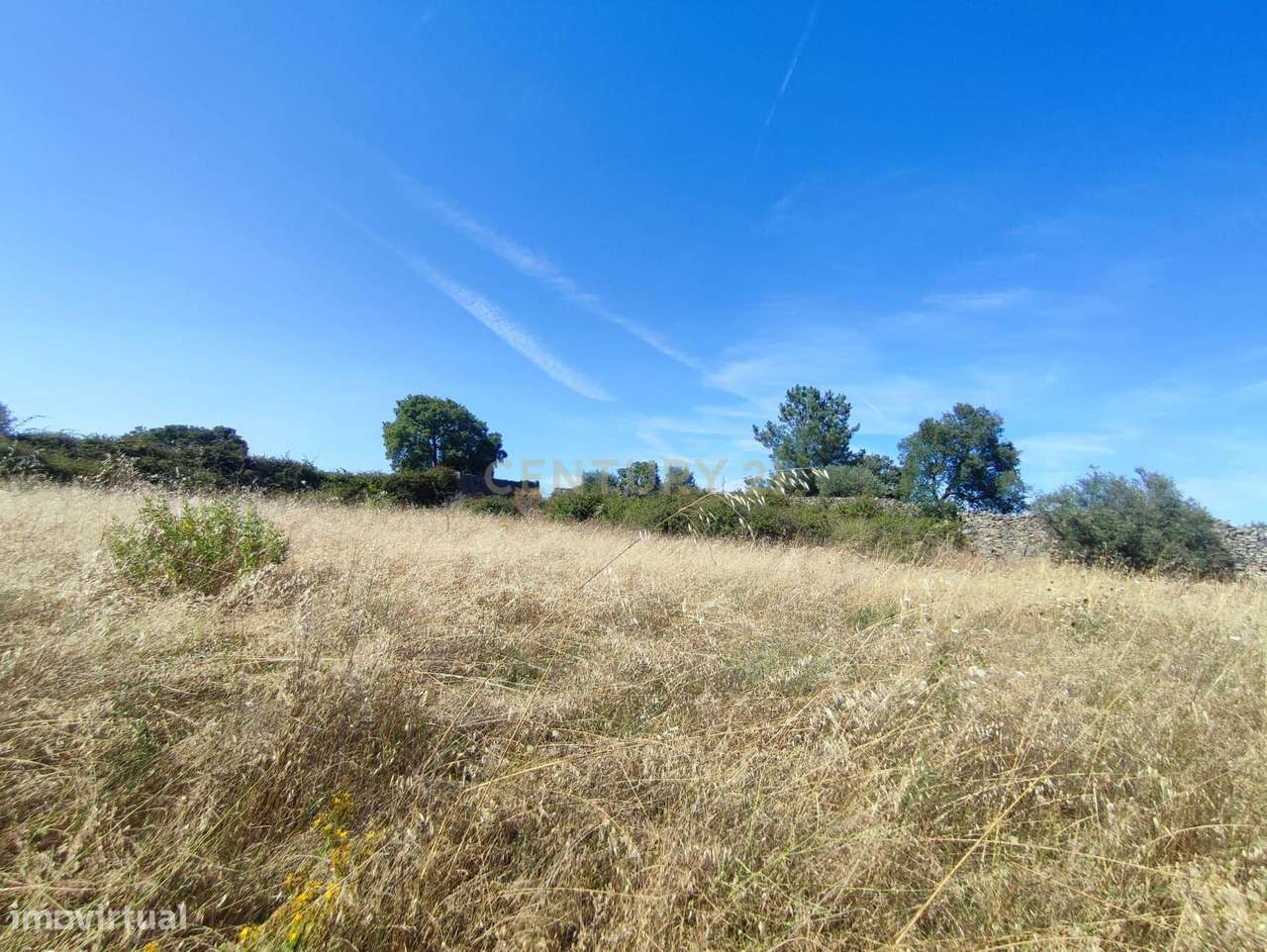 Terreno, 1 900 m², Alcains - Grande imagem: 5/7