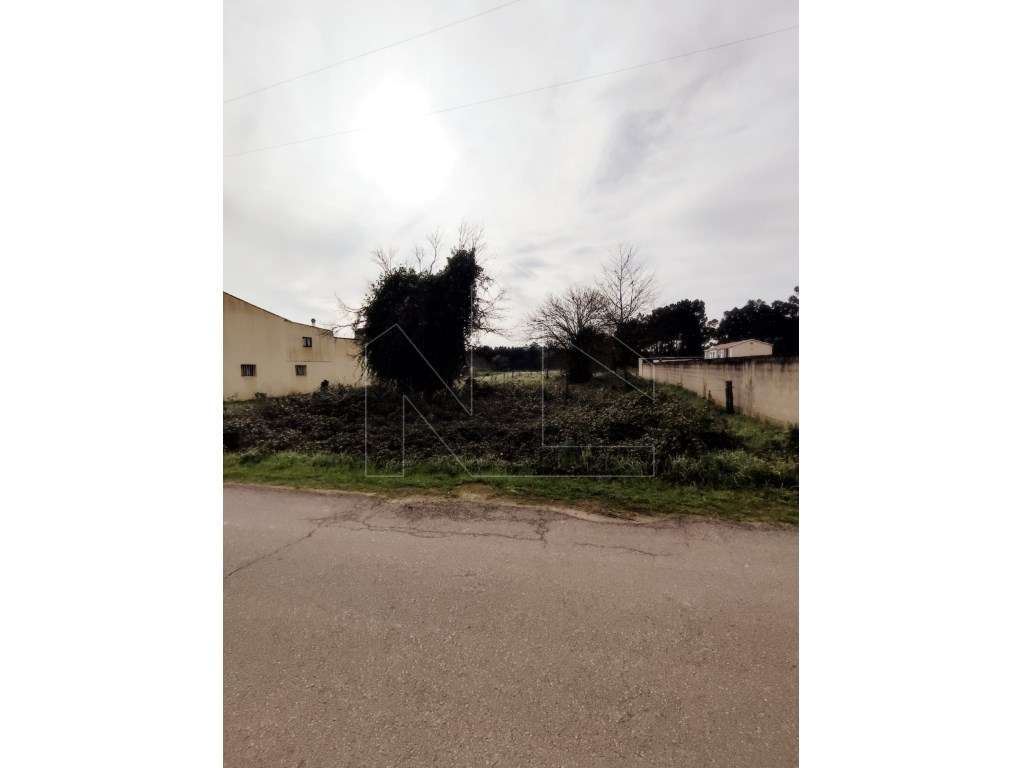 Terreno para Construção - Oliveira do Bairro - Grande imagem: 4/4