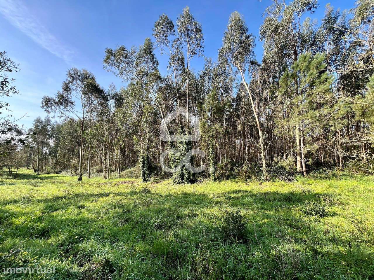 Terreno Misto, Fanadia - Grande imagem: 3/18