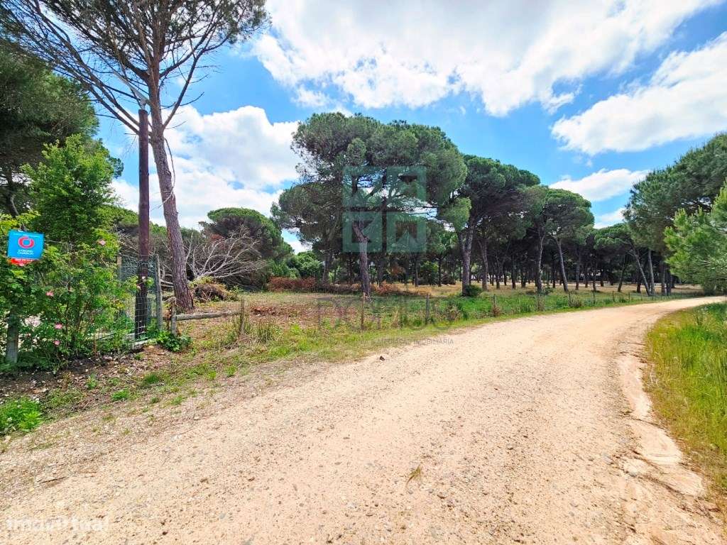 Lote de Terreno de 33.300m2, com lagoa, na Mata do Duque 1, Santo E...-24