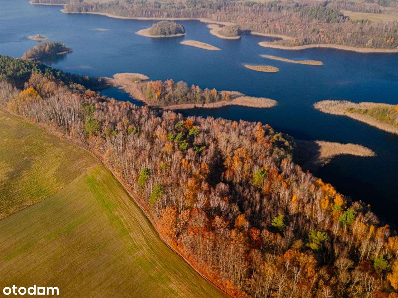 Działka siedliskowa - Krągi-18