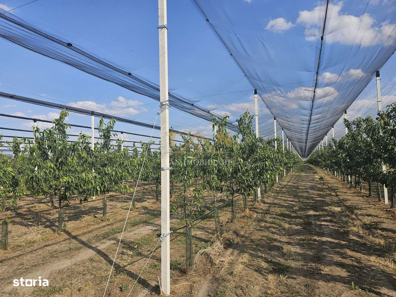 De Vânzare Afacere La Cheie ( ARAD) - Imagine principală: 5/17
