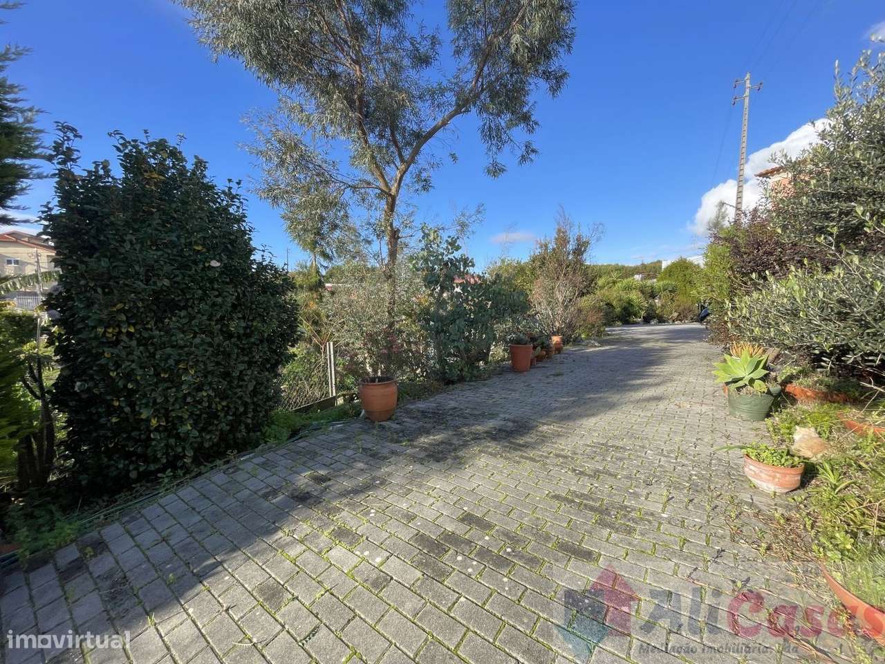 Fantástica Vivenda C/-57