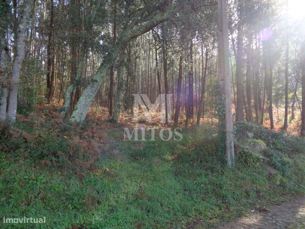 Ruína em Pedra para reconstruir, situada em Vilar de Mouros - Grande imagem: 4/7