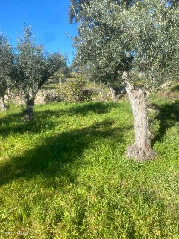 Terreno - Grande imagem: 2/5