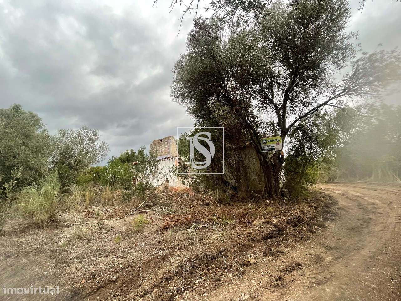 Quintinha em Montargil-23