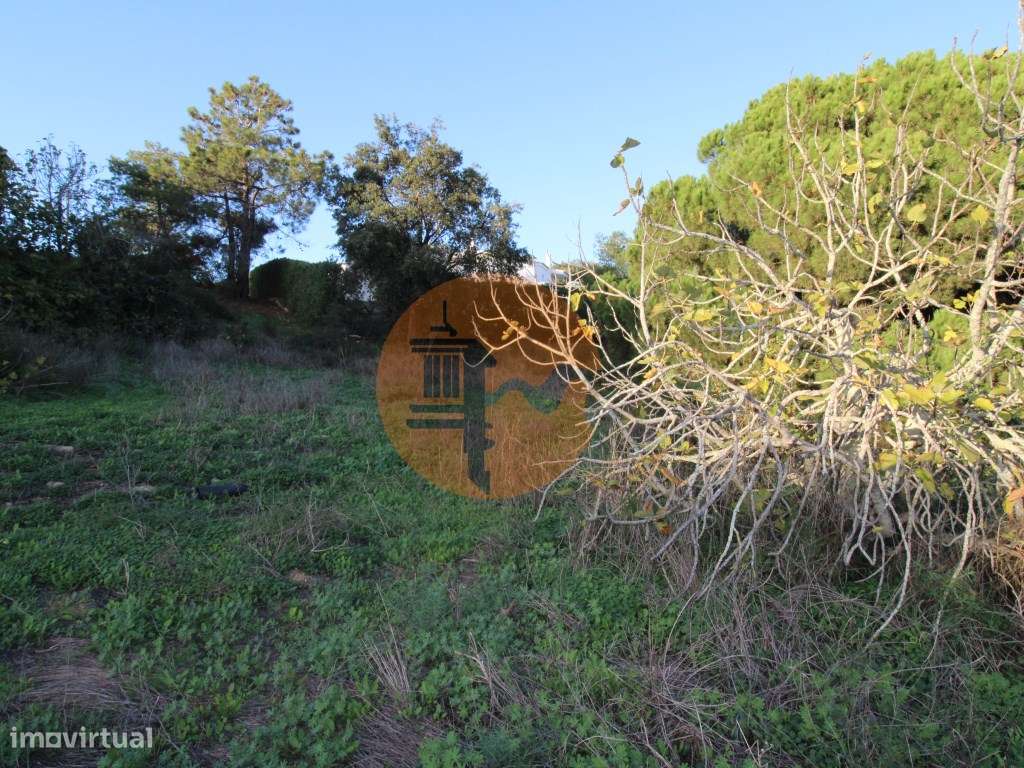 Terreno para construção - Grande imagem: 5/20