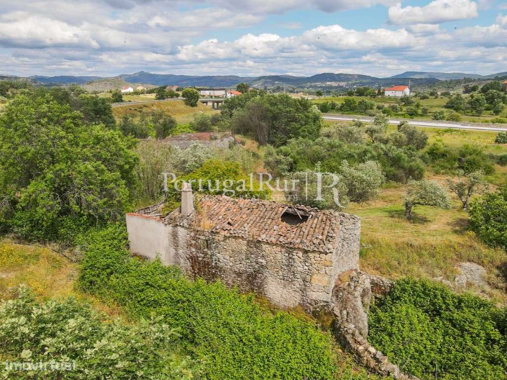 Quintinha com 2 hectares - Grande imagem: 5/14