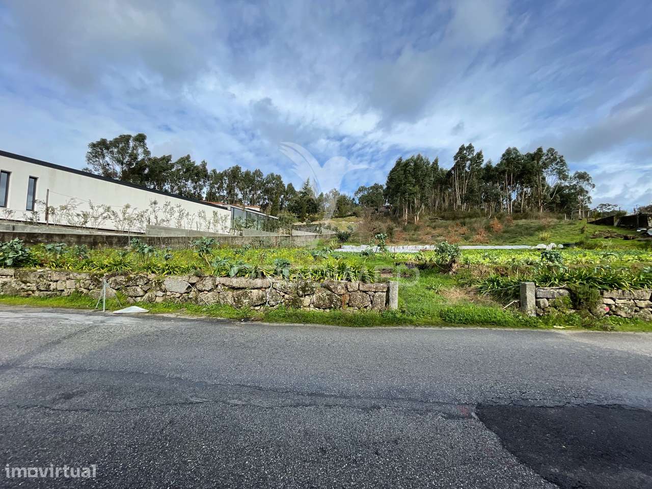 Terreno 5.000 m² com Potencial de Construção | Boim – Lousada - Grande imagem: 5/6